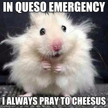 Cheesus, our lord and savior. | IN QUESO EMERGENCY; I ALWAYS PRAY TO CHEESUS | image tagged in stressed mouse,memes | made w/ Imgflip meme maker