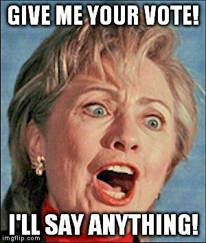 Ugly Hillary Clinton | GIVE ME YOUR VOTE! I'LL SAY ANYTHING! | image tagged in ugly hillary clinton | made w/ Imgflip meme maker