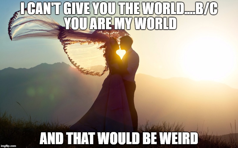 I CAN'T GIVE YOU THE WORLD....B/C YOU ARE MY WORLD; AND THAT WOULD BE WEIRD | image tagged in logical love | made w/ Imgflip meme maker
