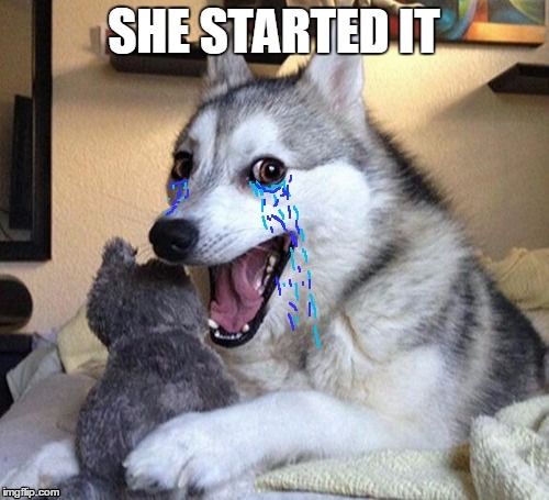 SHE STARTED IT | made w/ Imgflip meme maker