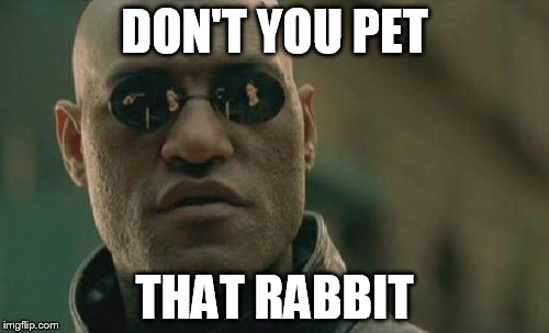 Matrix Morpheus | DON'T YOU PET; THAT RABBIT | image tagged in memes,matrix morpheus | made w/ Imgflip meme maker