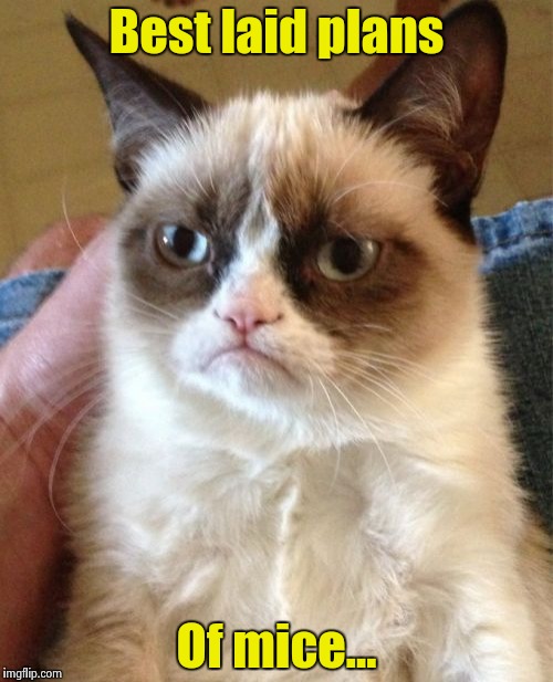 Grumpy Cat Meme | Best laid plans Of mice... | image tagged in memes,grumpy cat | made w/ Imgflip meme maker