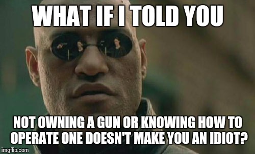 Matrix Morpheus Meme | WHAT IF I TOLD YOU NOT OWNING A GUN OR KNOWING HOW TO OPERATE ONE DOESN'T MAKE YOU AN IDIOT? | image tagged in memes,matrix morpheus | made w/ Imgflip meme maker
