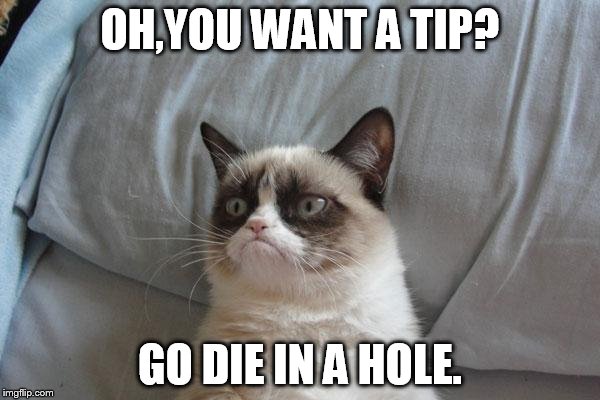 Grumpy Cat Bed |  OH,YOU WANT A TIP? GO DIE IN A HOLE. | image tagged in memes,grumpy cat bed,grumpy cat | made w/ Imgflip meme maker