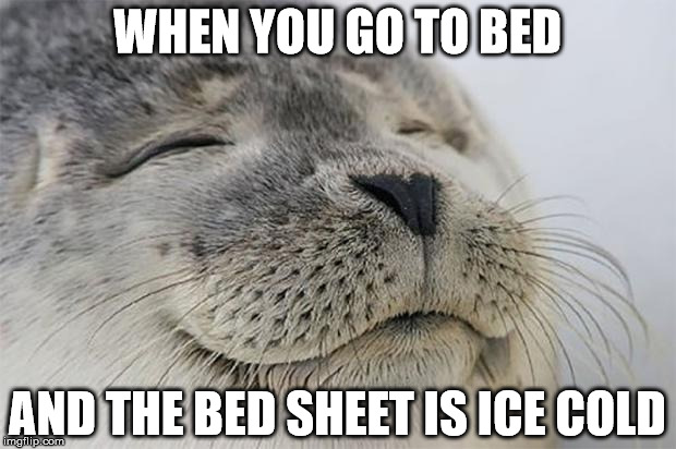 Satisfied Seal | WHEN YOU GO TO BED; AND THE BED SHEET IS ICE COLD | image tagged in memes,satisfied seal | made w/ Imgflip meme maker