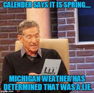 Maury Lie Detector Meme |  CALENDER SAYS IT IS SPRING.... MICHIGAN WEATHER HAS DETERMINED THAT WAS A LIE. | image tagged in memes,maury lie detector | made w/ Imgflip meme maker