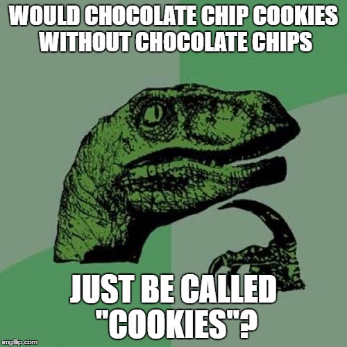 Philosoraptor Meme |  WOULD CHOCOLATE CHIP COOKIES WITHOUT CHOCOLATE CHIPS; JUST BE CALLED "COOKIES"? | image tagged in memes,philosoraptor | made w/ Imgflip meme maker