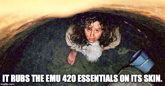 girl in pit, silence of the lambs | IT RUBS THE EMU 420 ESSENTIALS ON ITS SKIN. | image tagged in girl in pit silence of the lambs | made w/ Imgflip meme maker