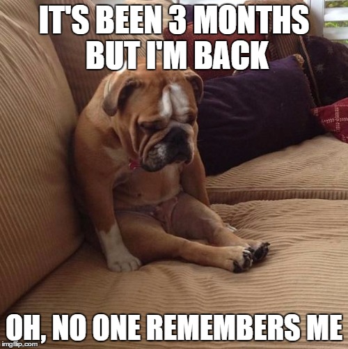 Forgot about this website for a long time.  | IT'S BEEN 3 MONTHS BUT I'M BACK; OH, NO ONE REMEMBERS ME | image tagged in bulldogsad | made w/ Imgflip meme maker