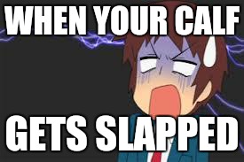 Kyon shocked | WHEN YOUR CALF; GETS SLAPPED | image tagged in kyon shocked | made w/ Imgflip meme maker