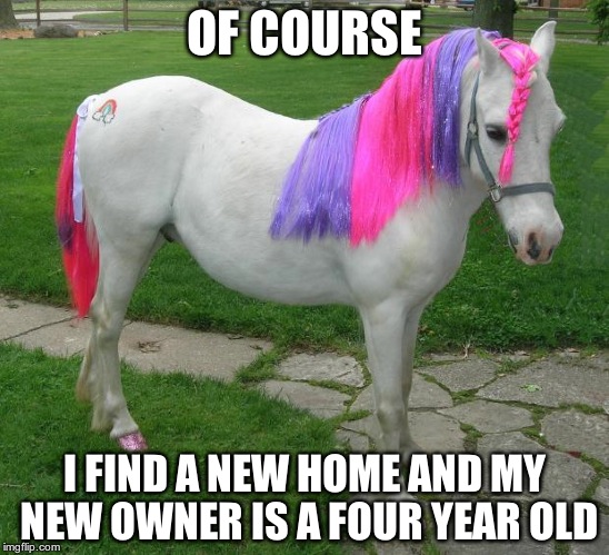 My Little Pony | OF COURSE; I FIND A NEW HOME AND MY NEW OWNER IS A FOUR YEAR OLD | image tagged in my little pony | made w/ Imgflip meme maker