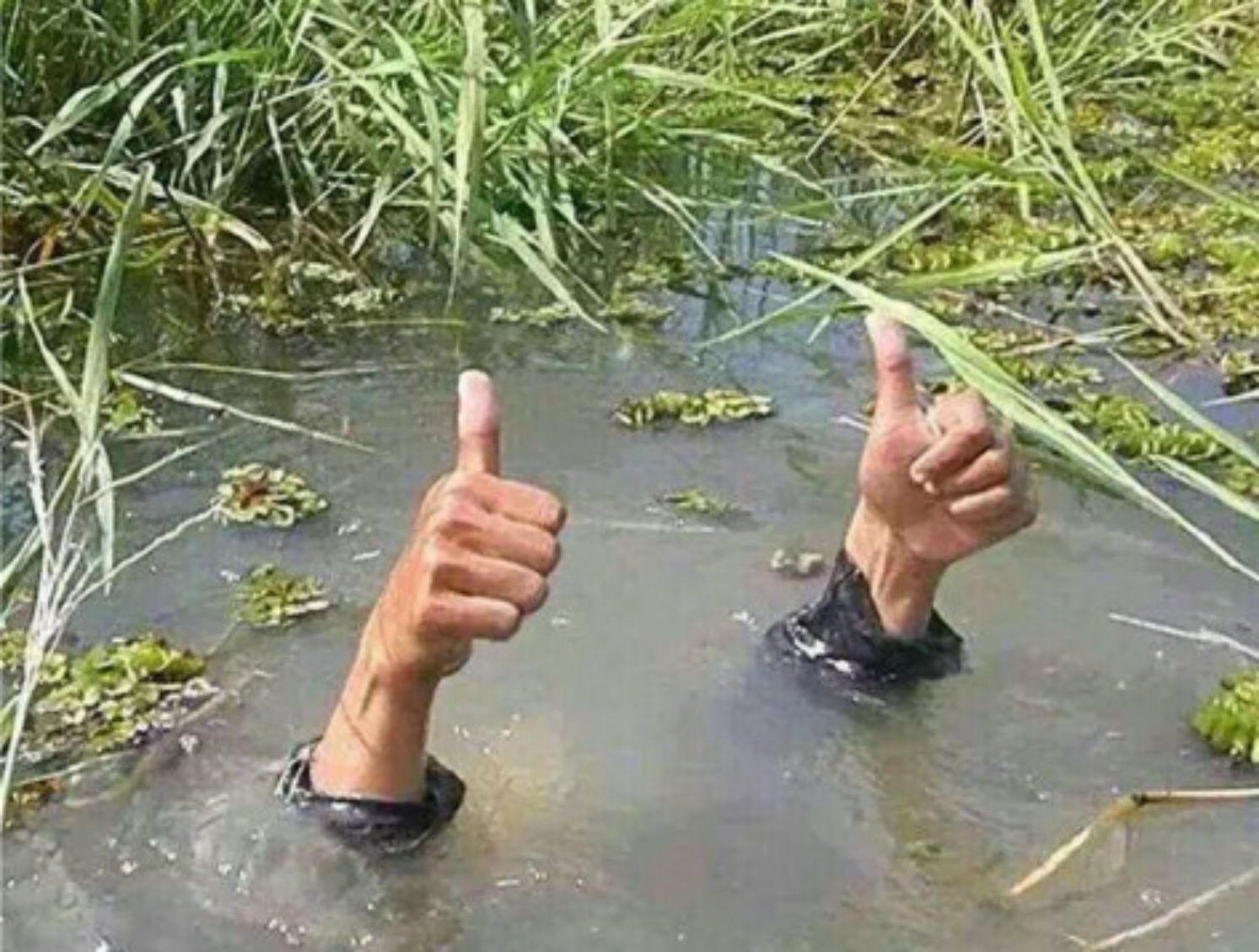 Drowning Thumbs Up Blank Template Imgflip