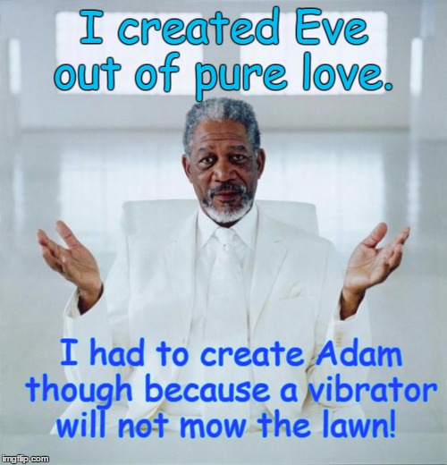 Morgan Freeman-God | I created Eve out of pure love. I had to create Adam though because a vibrator will not mow the lawn! | image tagged in morgan freeman god,memes,funny | made w/ Imgflip meme maker