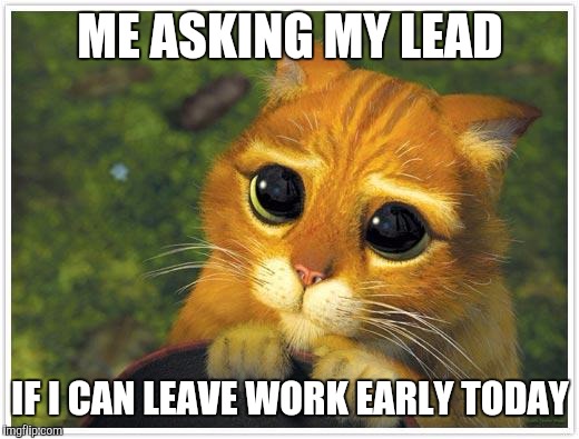 Shrek Cat Meme | ME ASKING MY LEAD; IF I CAN LEAVE WORK EARLY TODAY | image tagged in memes,shrek cat | made w/ Imgflip meme maker
