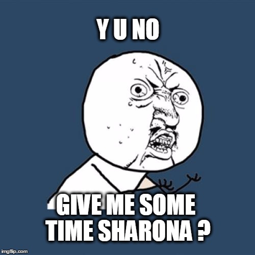 Y U No | Y U NO; GIVE ME SOME TIME SHARONA ? | image tagged in memes,y u no,music,get the knack,what if i told you | made w/ Imgflip meme maker