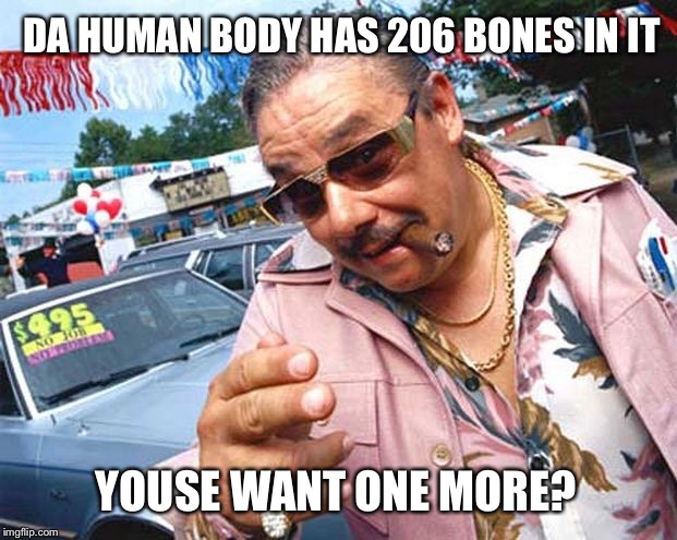 DA HUMAN BODY HAS 206 BONES IN IT YOUSE WANT ONE MORE? | made w/ Imgflip meme maker