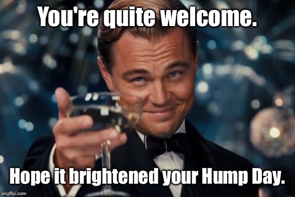 Leonardo Dicaprio Cheers Meme | You're quite welcome. Hope it brightened your Hump Day. | image tagged in memes,leonardo dicaprio cheers | made w/ Imgflip meme maker