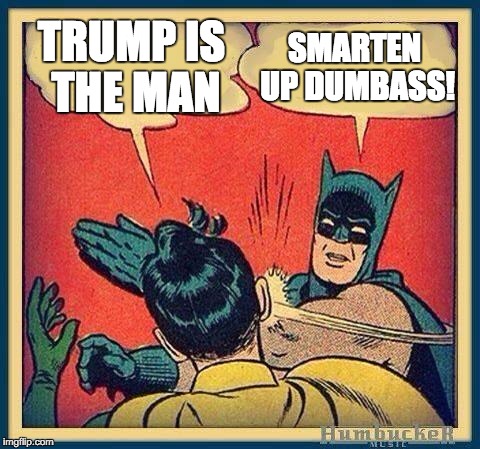 batman and robin | TRUMP IS THE MAN; SMARTEN UP DUMBASS! | image tagged in batman and robin | made w/ Imgflip meme maker