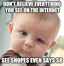 Skeptical Baby Meme | DON'T BELIEVE EVERYTHING YOU SEE ON THE INTERNET; SEE SNOPES EVEN SAYS SO | image tagged in memes,skeptical baby | made w/ Imgflip meme maker