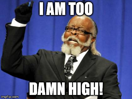 Too Damn High | I AM TOO; DAMN HIGH! | image tagged in memes,too damn high | made w/ Imgflip meme maker