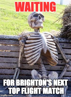 Waiting Skeleton | WAITING; FOR BRIGHTON'S NEXT TOP FLIGHT MATCH | image tagged in memes,waiting skeleton | made w/ Imgflip meme maker