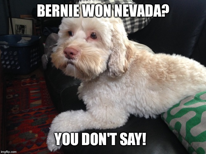 Nevada Bernie | BERNIE WON NEVADA? YOU DON'T SAY! | image tagged in bernie sanders | made w/ Imgflip meme maker