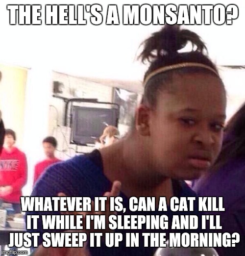 Black Girl Wat Meme | THE HELL'S A MONSANTO? WHATEVER IT IS, CAN A CAT KILL IT WHILE I'M SLEEPING AND I'LL JUST SWEEP IT UP IN THE MORNING? | image tagged in memes,black girl wat | made w/ Imgflip meme maker