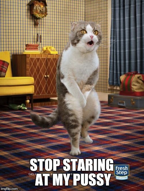 awkward | STOP STARING AT MY PUSSY | image tagged in memes,gotta go cat,put it somewhere else patrick | made w/ Imgflip meme maker