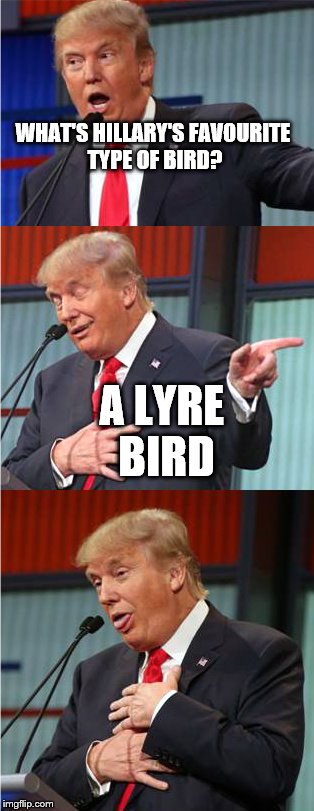 Bad Pun Trump | WHAT'S HILLARY'S FAVOURITE TYPE OF BIRD? A LYRE BIRD | image tagged in bad pun trump | made w/ Imgflip meme maker