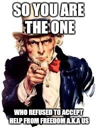 We Want you | SO YOU ARE THE ONE; WHO REFUSED TO ACCEPT HELP FROM FREEDOM A.K.A US | image tagged in we want you | made w/ Imgflip meme maker