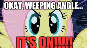 Fluttershy stare | OKAY, WEEPING ANGLE... IT'S ON!!!!! | image tagged in fluttershy stare | made w/ Imgflip meme maker