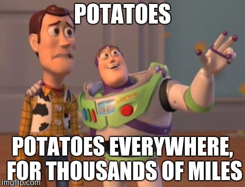 X, X Everywhere | POTATOES; POTATOES EVERYWHERE, FOR THOUSANDS OF MILES | image tagged in memes,x x everywhere,potato | made w/ Imgflip meme maker