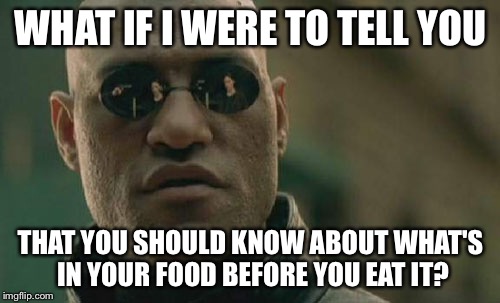 Matrix Morpheus Meme | WHAT IF I WERE TO TELL YOU THAT YOU SHOULD KNOW ABOUT WHAT'S IN YOUR FOOD BEFORE YOU EAT IT? | image tagged in memes,matrix morpheus | made w/ Imgflip meme maker