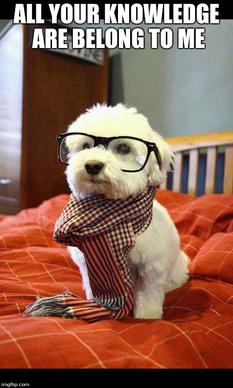 Intelligent Dog | ALL YOUR KNOWLEDGE ARE BELONG TO ME | image tagged in memes,intelligent dog | made w/ Imgflip meme maker