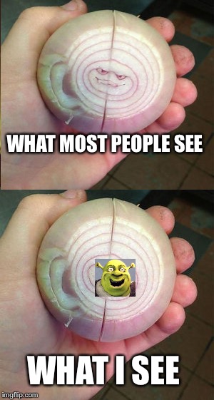 Shrek Onion Face | WHAT MOST PEOPLE SEE; WHAT I SEE | image tagged in memes,shrek,onion | made w/ Imgflip meme maker