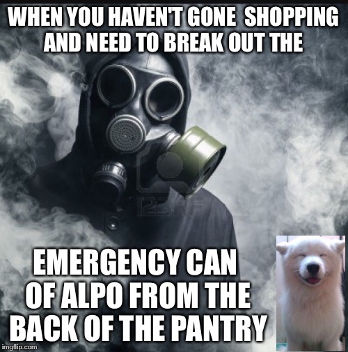It's funny because it's true  | WHEN YOU HAVEN'T GONE  SHOPPING AND NEED TO BREAK OUT THE; EMERGENCY CAN OF ALPO FROM THE BACK OF THE PANTRY | image tagged in memes,funny,dog fun | made w/ Imgflip meme maker