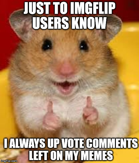 Up voting comments  | JUST TO IMGFLIP USERS KNOW; I ALWAYS UP VOTE COMMENTS LEFT ON MY MEMES | image tagged in thumbs up hamster,memes,up votes | made w/ Imgflip meme maker