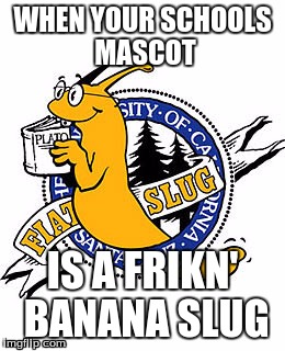  WHEN YOUR SCHOOLS MASCOT; IS A FRIKN' BANANA SLUG | image tagged in memes,funny | made w/ Imgflip meme maker