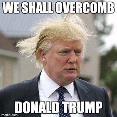 Donald Trump | WE SHALL OVERCOMB; DONALD TRUMP | image tagged in donald trump | made w/ Imgflip meme maker