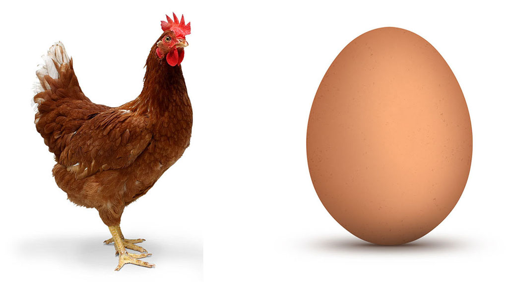Chicken and egg Blank Meme Template