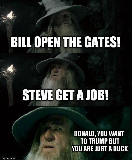 Confused Gandalf Meme | BILL OPEN THE GATES! STEVE GET A JOB! DONALD, YOU WANT TO TRUMP BUT YOU ARE JUST A DUCK | image tagged in memes,confused gandalf | made w/ Imgflip meme maker