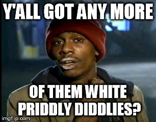 Y'all Got Any More Of That Meme | Y'ALL GOT ANY MORE OF THEM WHITE PRIDDLY DIDDLIES? | image tagged in memes,yall got any more of | made w/ Imgflip meme maker