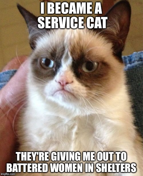 Ike Turner Service Cat | I BECAME A SERVICE CAT; THEY'RE GIVING ME OUT TO BATTERED WOMEN IN SHELTERS | image tagged in memes,grumpy cat,ike turner service cat | made w/ Imgflip meme maker