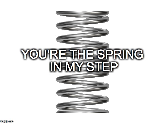 Next up, Slinky... | YOU'RE THE SPRING IN MY STEP | image tagged in spring,step | made w/ Imgflip meme maker