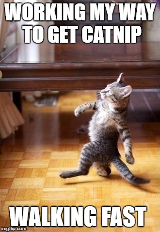 Cool Cat Stroll Meme | WORKING MY WAY TO GET CATNIP; WALKING FAST | image tagged in memes,cool cat stroll | made w/ Imgflip meme maker