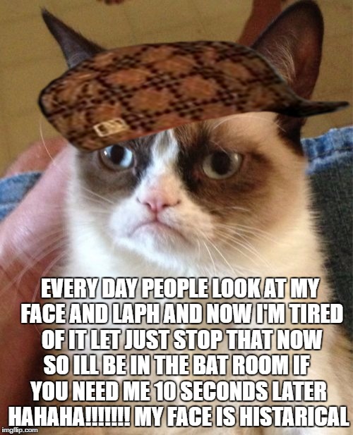 Grumpy Cat | EVERY DAY PEOPLE LOOK AT MY FACE AND LAPH AND NOW I'M TIRED OF IT LET JUST STOP THAT NOW; SO ILL BE IN THE BAT ROOM IF YOU NEED ME 10 SECONDS LATER HAHAHA!!!!!!! MY FACE IS HISTARICAL | image tagged in memes,grumpy cat,scumbag | made w/ Imgflip meme maker