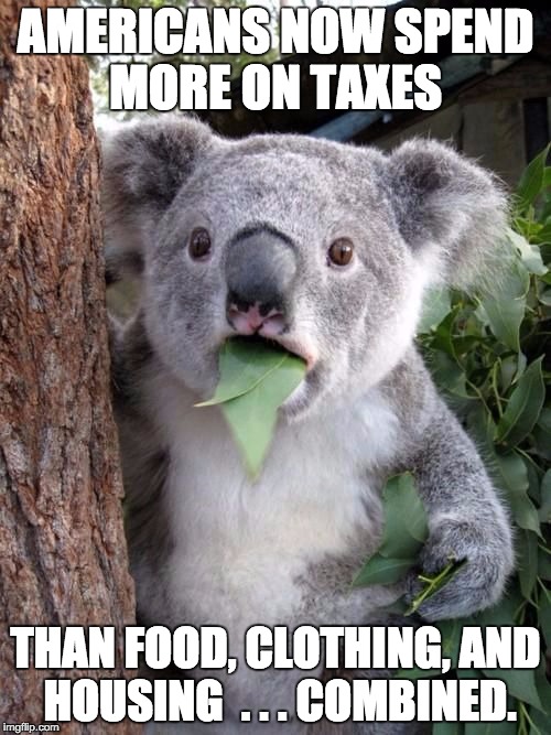 Americans will pay $5 trillion in federal. state & local taxes vs $4 trillion on necessities. | AMERICANS NOW SPEND MORE ON TAXES; THAN FOOD, CLOTHING, AND HOUSING  . . . COMBINED. | image tagged in wtf koala | made w/ Imgflip meme maker