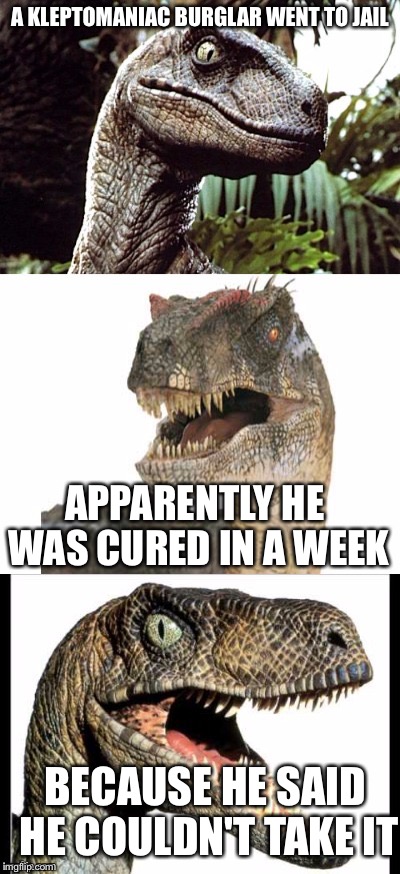 Bad Pun Velociraptor | A KLEPTOMANIAC BURGLAR WENT TO JAIL; APPARENTLY HE WAS CURED IN A WEEK; BECAUSE HE SAID HE COULDN'T TAKE IT | image tagged in bad pun velociraptor | made w/ Imgflip meme maker