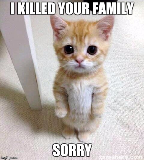 Cute Cat | I KILLED YOUR FAMILY; SORRY | image tagged in memes,cute cat | made w/ Imgflip meme maker