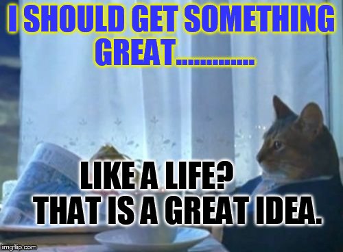 I Should Buy A Boat Cat Meme | I SHOULD GET SOMETHING GREAT............. LIKE A LIFE?       THAT IS A GREAT IDEA. | image tagged in memes,i should buy a boat cat | made w/ Imgflip meme maker